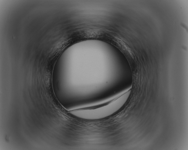 X0000091490505200709131833