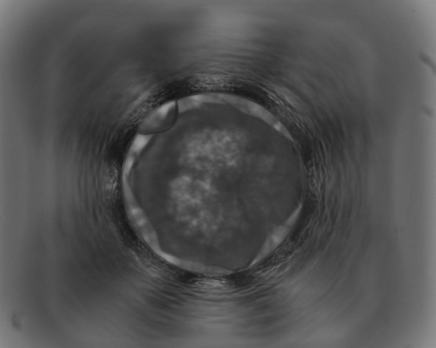 X0000091490507200709131833