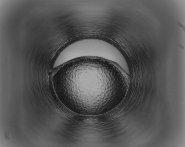 X0000091490508200709131833