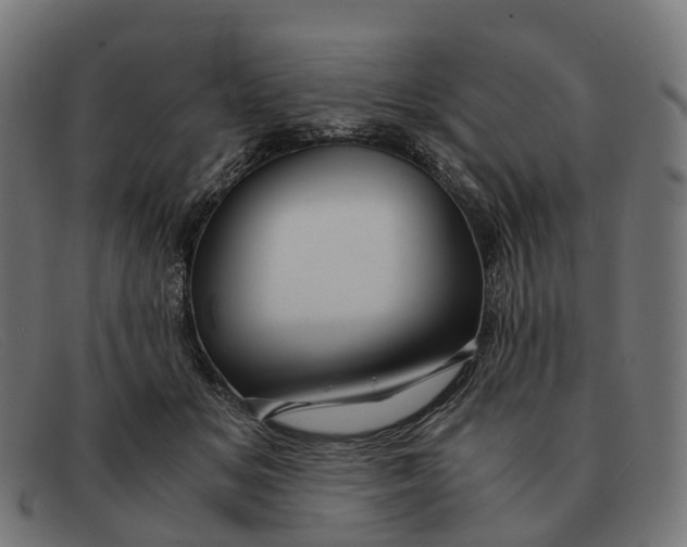 X0000091490509200709131833