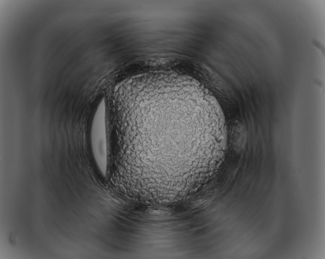 X0000091490510200709131833