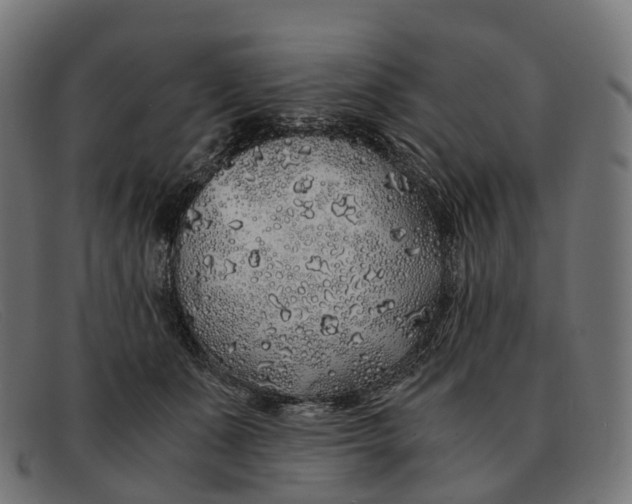 X0000091490511200709131833