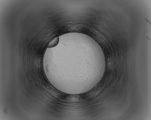 X0000091490514200709131833