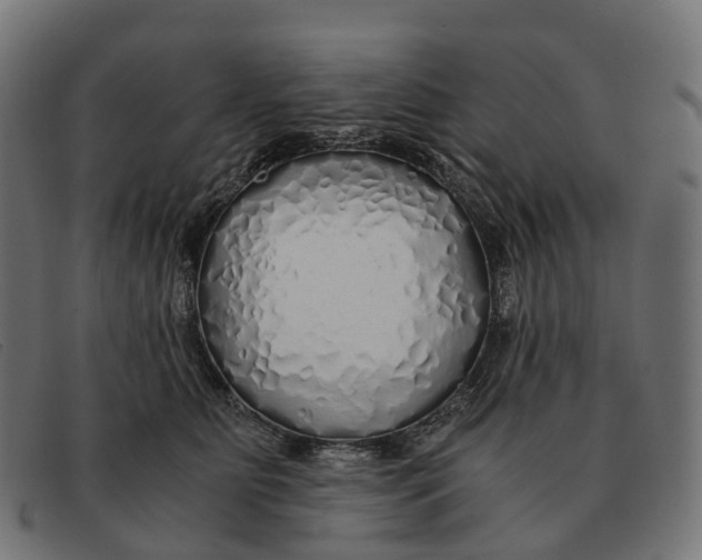X0000091490515200709131833