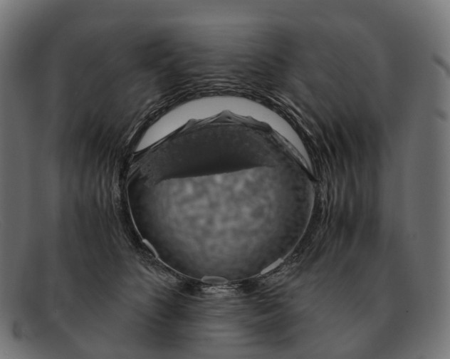 X0000091490516200709131833