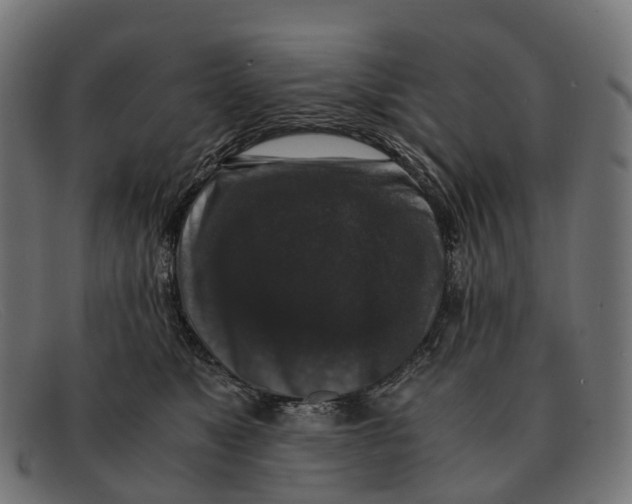 X0000091490517200709131833