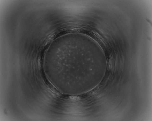 X0000091490520200709131833