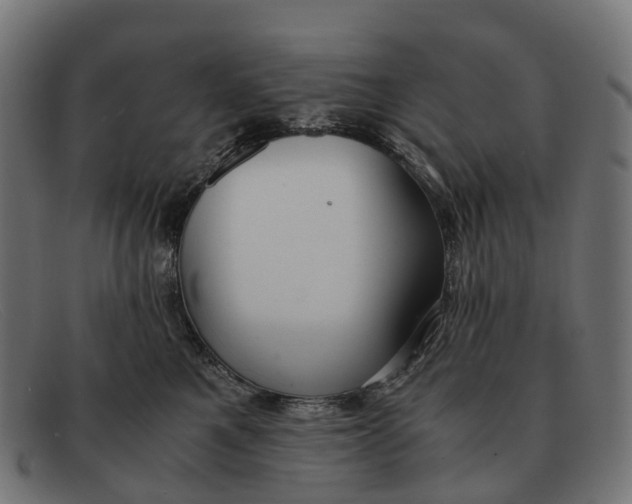 X0000091490521200709131833
