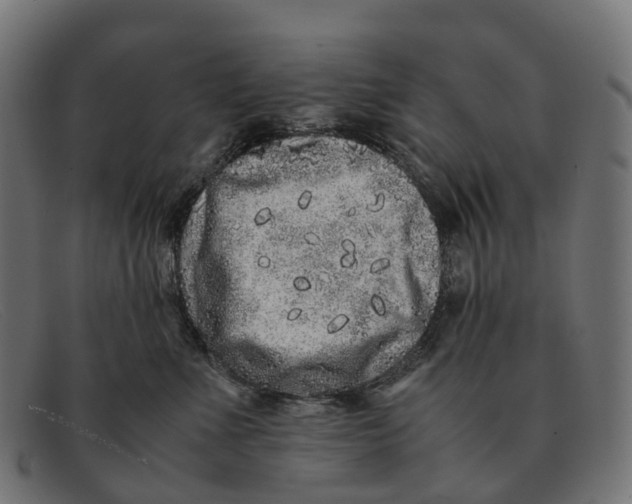 X0000091490523200709131833