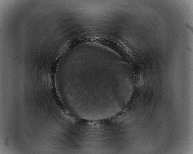 X0000091490524200709131833