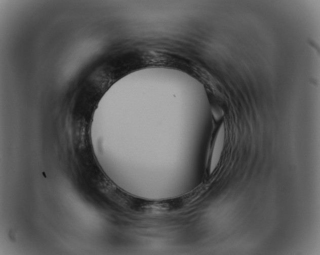 X0000091490525200709131833