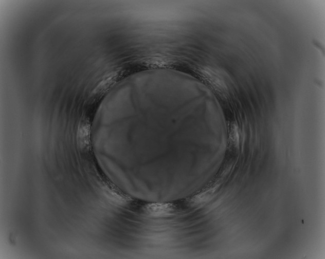 X0000091490526200709131833