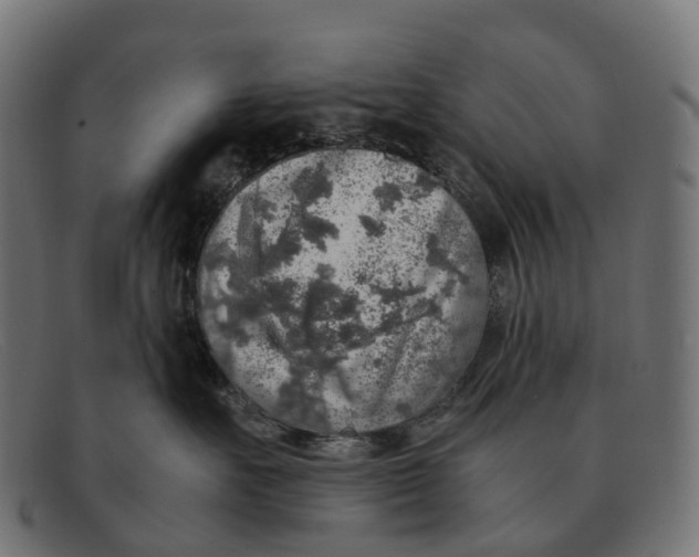 X0000091490527200709131833
