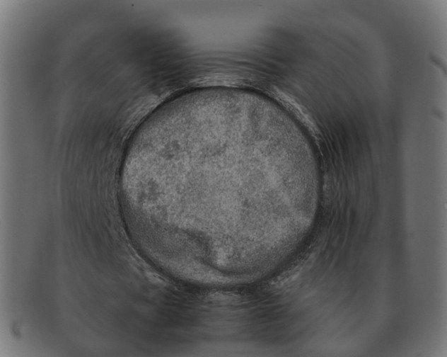 X0000091490529200709131832