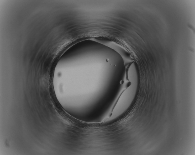 X0000091490530200709131832