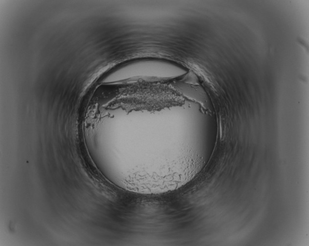 X0000091490531200709131832