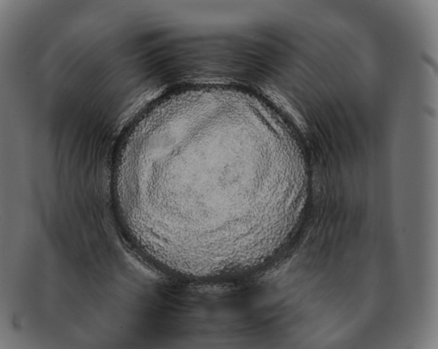 X0000091490533200709131832