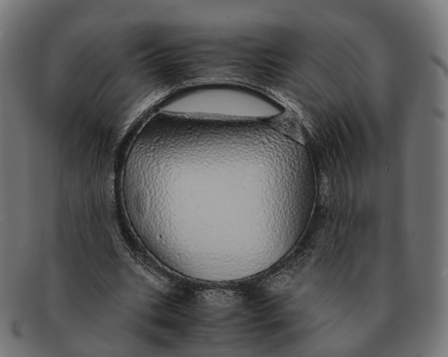 X0000091490535200709131832