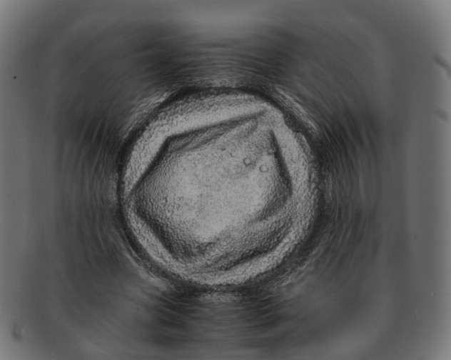 X0000091490537200709131832