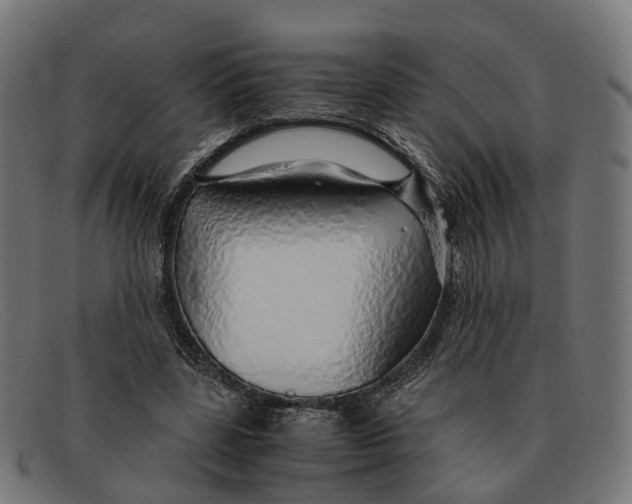X0000091490539200709131832