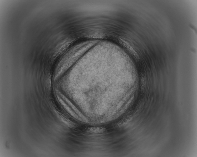 X0000091490541200709131832
