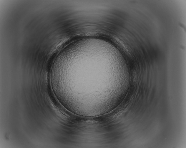 X0000091490542200709131832