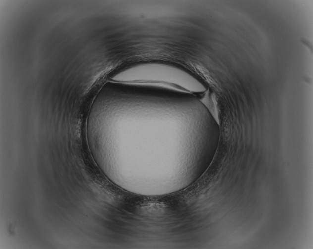 X0000091490543200709131832