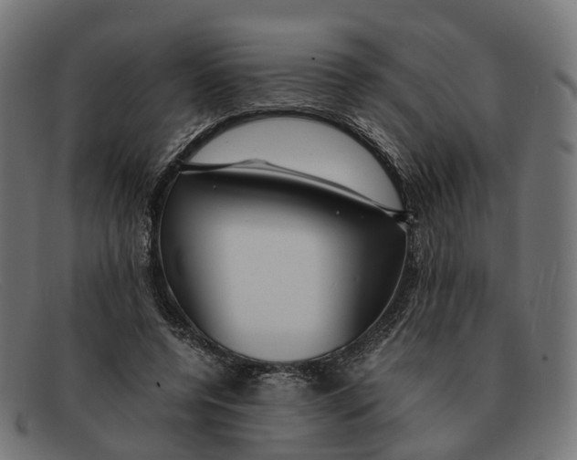 X0000091490544200709131832