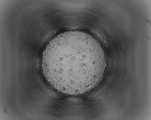 X0000091490545200709131832