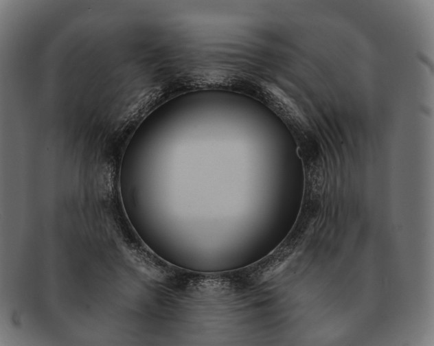 X0000091490546200709131832