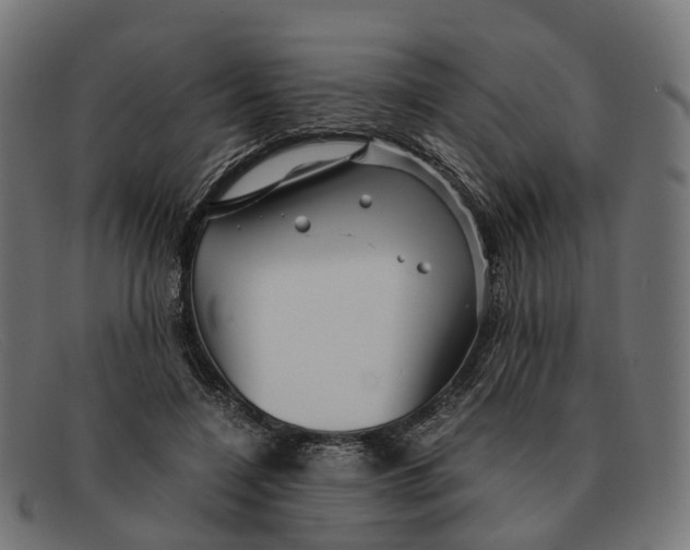 X0000091490548200709131832