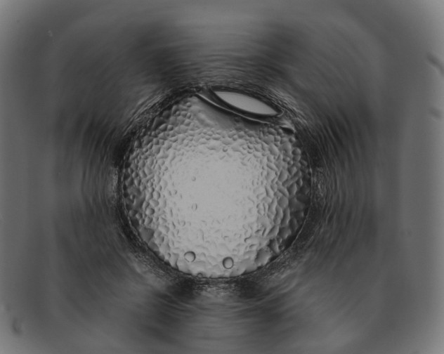 X0000091490550200709131832