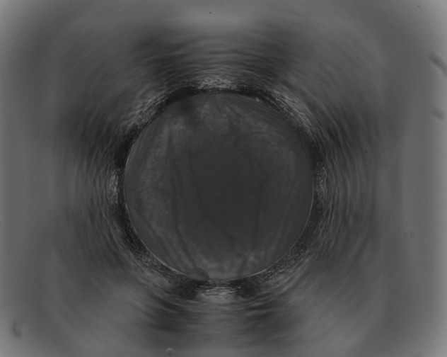 X0000091490551200709131832