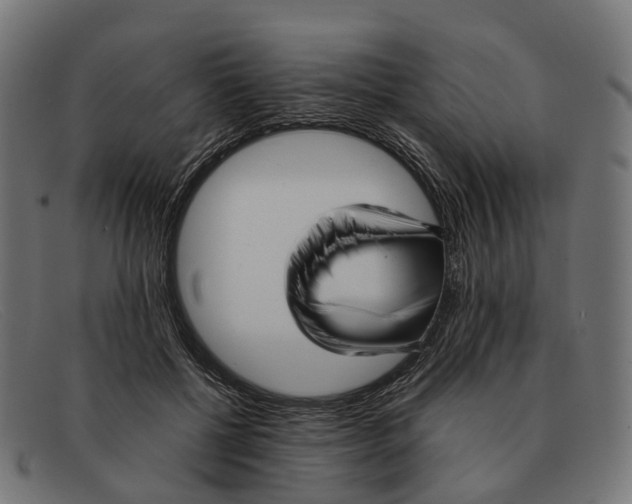 X0000091490552200709131832