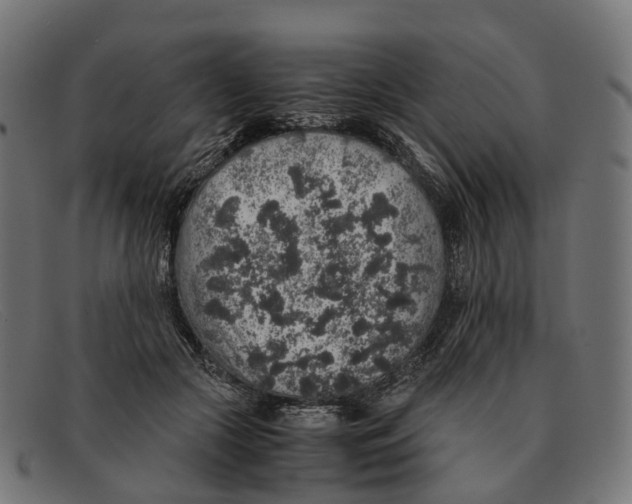 X0000091490553200709131832