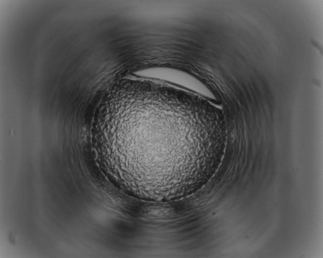 X0000091490555200709131833