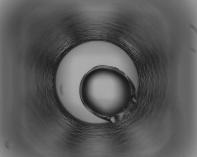 X0000091490556200709131833