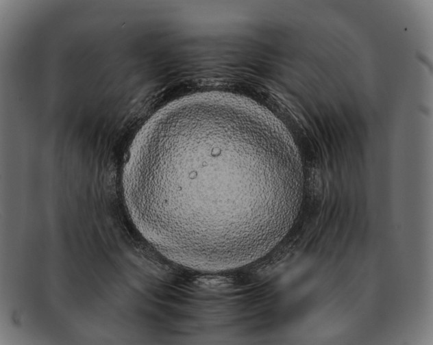 X0000091490557200709131833