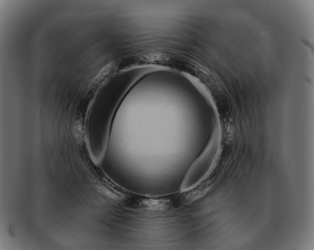 X0000091490558200709131833
