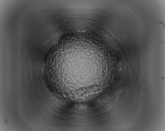 X0000091490559200709131833