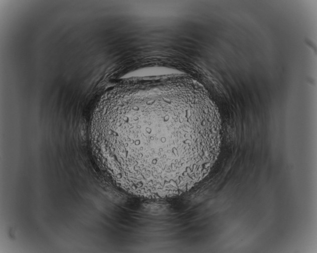 X0000091490561200709131833
