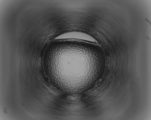 X0000091490563200709131833