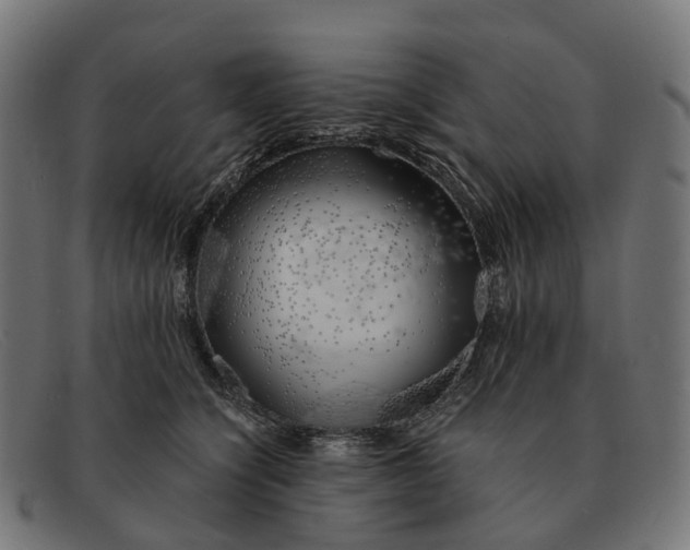 X0000091490564200709131833