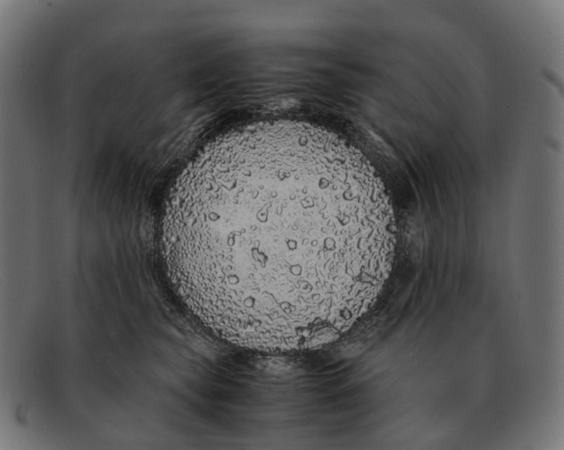 X0000091490565200709131833