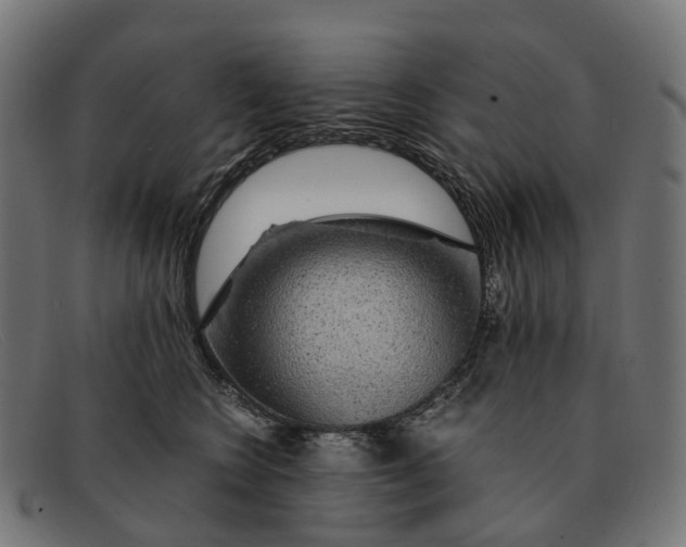 X0000091490566200709131833