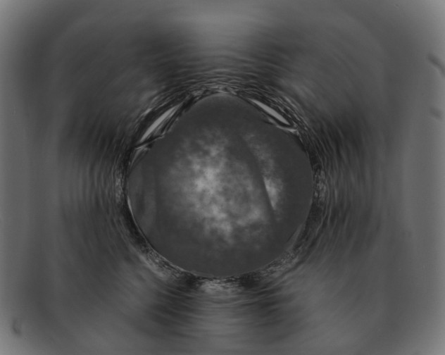 X0000091490568200709131833