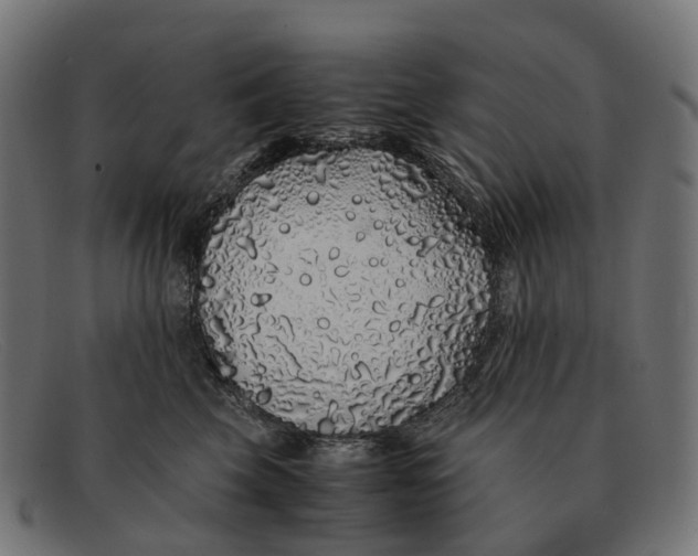 X0000091490569200709131833