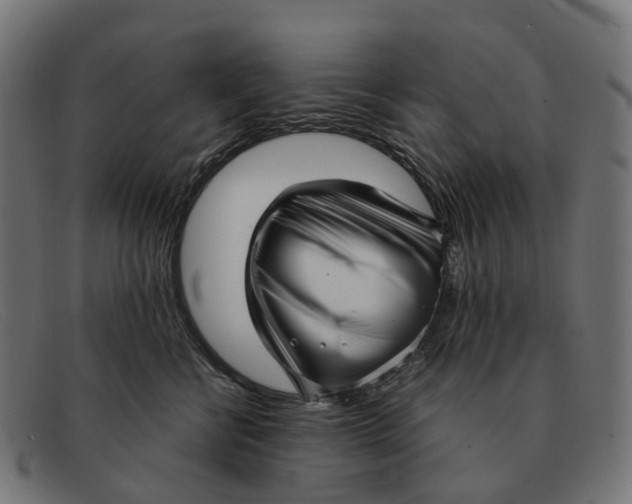 X0000091490570200709131833