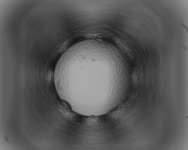 X0000091490574200709131833