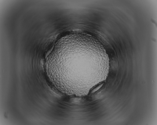 X0000091490575200709131833